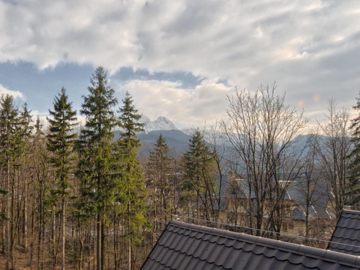 Апартаменты VisitZakopane Apartments Tetmajera Закопане